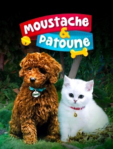 Moustache & Patoune