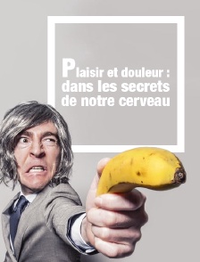 Plaisir et douleur : dans les secrets de notre cerveau