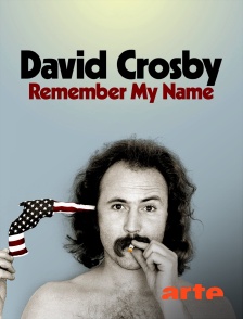 Arte - David Crosby : Remember My Name