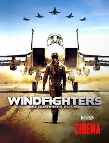 Windfighters : les guerriers du ciel