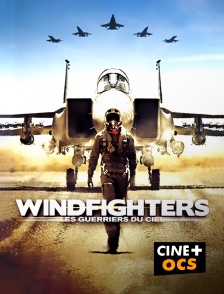 CINÉ Cinéma - Windfighters : les guerriers du ciel