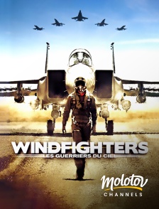 Molotov Channels - Windfighters : les guerriers du ciel