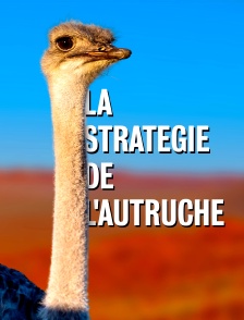 La stratégie de l'autruche