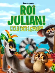 Roi Julian ! L'Élu des lémurs : En exil
