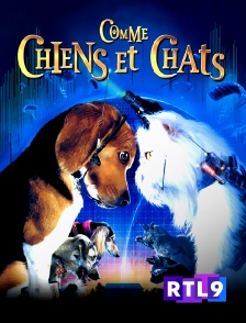 Comme chiens et chats