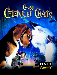 CINE+ Family - Comme chiens et chats