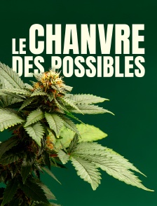 Le chanvre des possibles