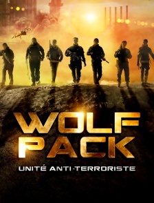 Wolf Pack : Unité Anti-terroriste