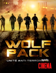Molotov Channels Cinéma - Wolf Pack : Unité Anti-terroriste