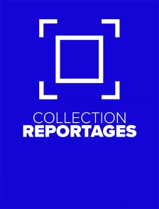 Collection Reportages