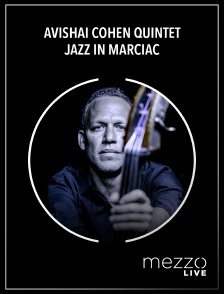 Mezzo Live HD - Avishai Cohen Quintet - Jazz in Marciac