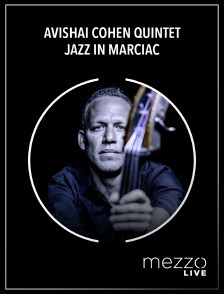 Avishai Cohen Quintet - Jazz in Marciac