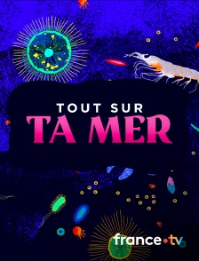 france.tv - Tout sur ta mer