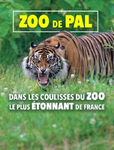 Zoo de Pal : dans les coulisses du zoo le plus étonnant de France