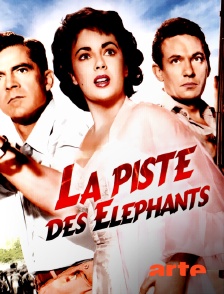 La piste des éléphants