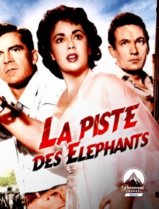 Paramount Channel Décalé - La piste des éléphants