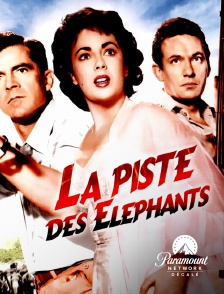 Paramount Network Décalé - La piste des éléphants