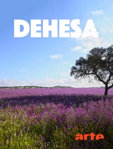 Arte - Dehesa