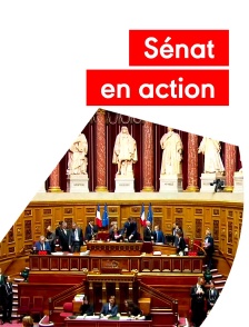 Sénat en action