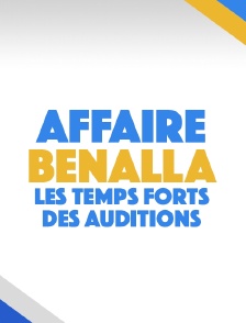Affaire Benalla : les temps forts des auditions