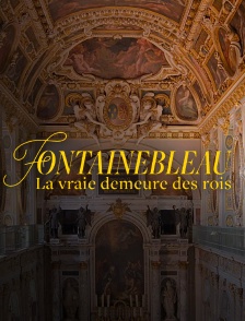 Fontainebleau, la vraie demeure des rois
