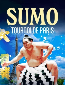 Sumo : Tournoi de Paris