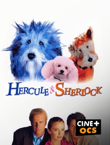 CINÉ Cinéma - Hercule & Sherlock