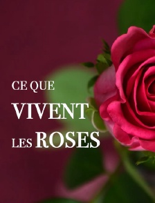 Ce que vivent les roses