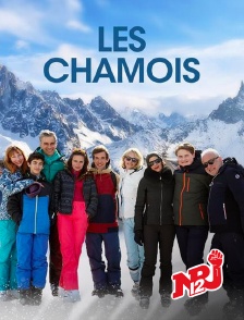 NRJ 12 - Les chamois