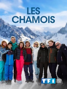 TF1 Séries Films - Les chamois