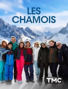 TMC - Les chamois