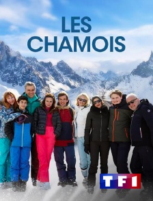 TF1 - Les chamois