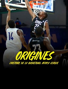 Origines : l'histoire de la BAL