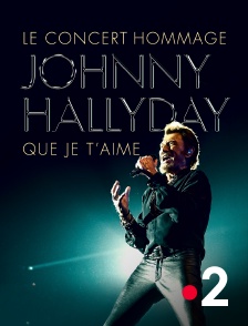 France 2 - Johnny Hallyday : Que je t'aime