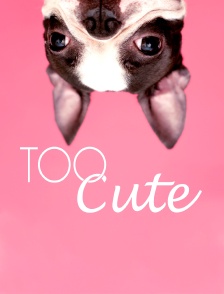 Too cute (Trop mignon)