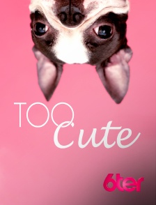 6ter - Too Cute