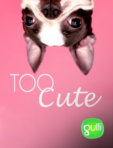 Gulli - Too cute (Trop mignon)