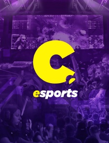 Cheddar Esports