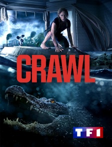 TF1 - Crawl