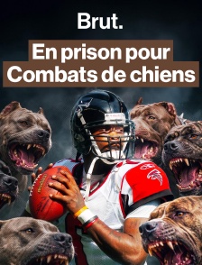 Michael Vick : star du football américain en prison pour des combats de chiens