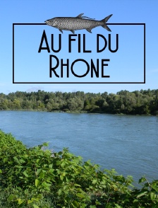Au fil du Rhône, traque des carnassiers