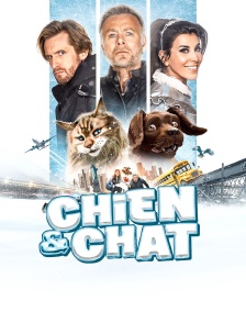Chien & chat