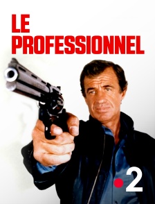 Le professionnel