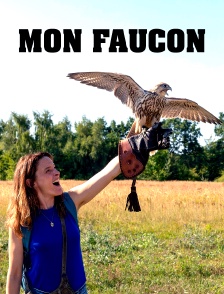 Mon faucon