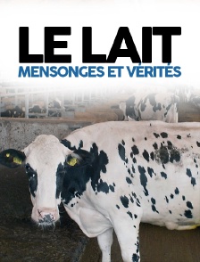 Le lait, mensonges et vérités