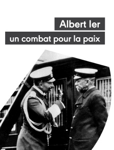 Albert 1er, un combat pour la paix