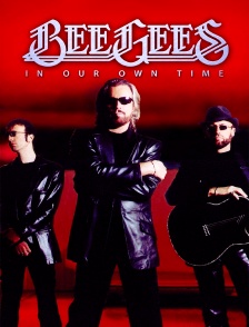Les Bee Gees par eux-mêmes