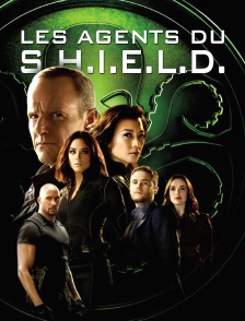 MARVEL : Les agents du S.H.I.E.L.D.