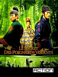 ACTION - Le secret des Poignards volants