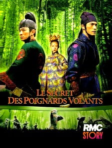 RMC Story - Le secret des Poignards volants